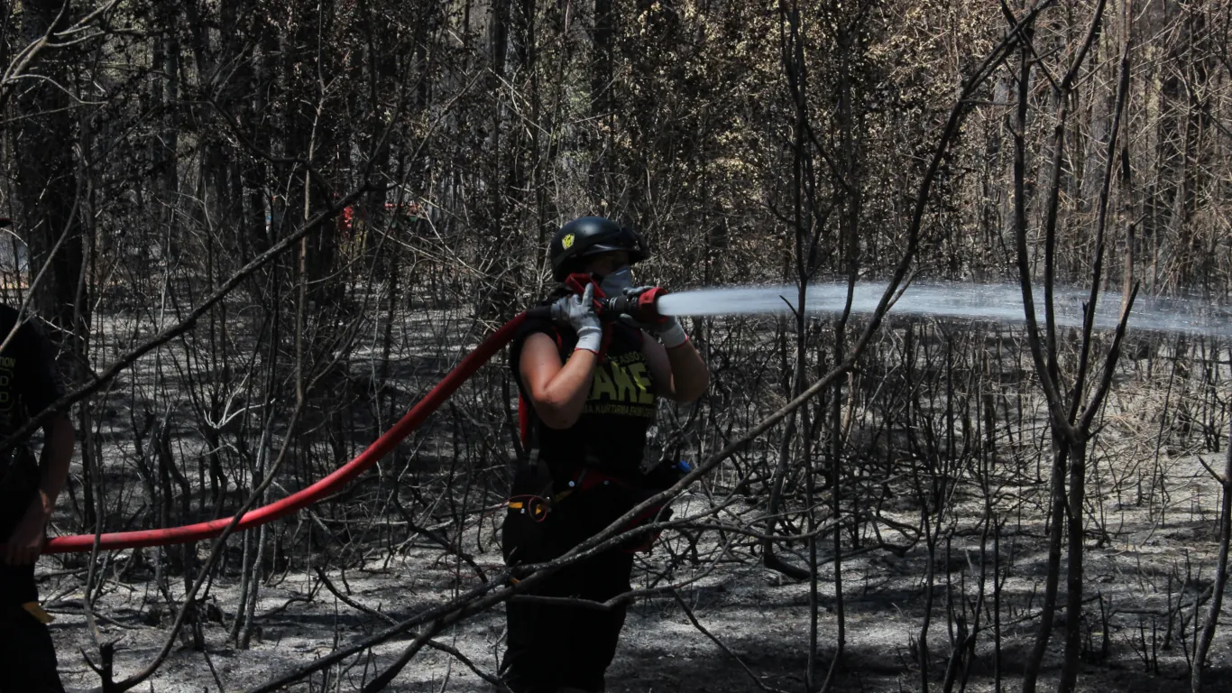Selang Pemadam Kebakaran untuk Karhutla: Jenis, Fungsi, dan Cara Memilihnya